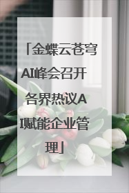 金蝶云苍穹AI峰会召开 各界热议AI赋能企业管理