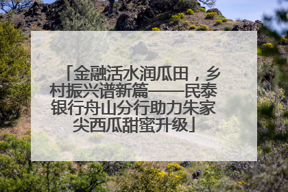 金融活水润瓜田，乡村振兴谱新篇——民泰银行舟山分行助力朱家尖西瓜甜蜜升级