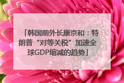 韩国前外长康京和：特朗普“对等关税”加速全球GDP缩减的趋势