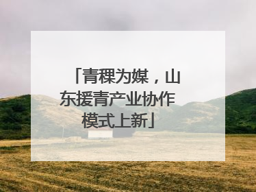 青稞为媒，山东援青产业协作模式上新