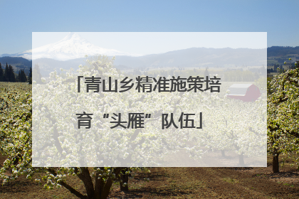 青山乡精准施策培育“头雁”队伍