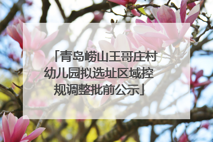 青岛崂山王哥庄村幼儿园拟选址区域控规调整批前公示