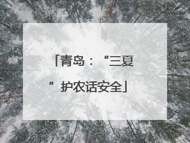 青岛：“三夏”护农话安全