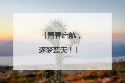 青春启航，逐梦蓝天！