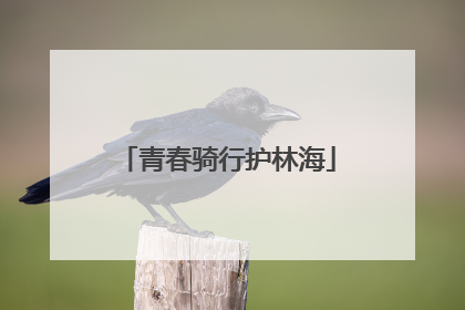 青春骑行护林海