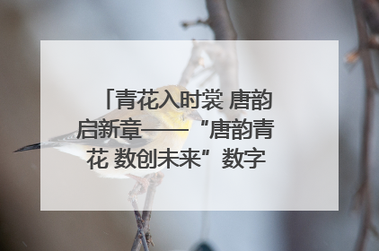 青花入时裳 唐韵启新章——“唐韵青花 数创未来”数字文创设计大赛启幕