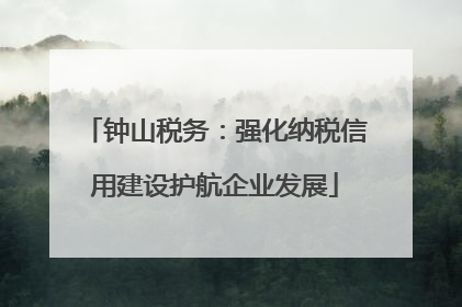 钟山税务：强化纳税信用建设护航企业发展