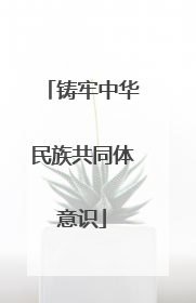 铸牢中华民族共同体意识