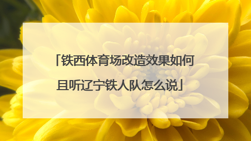 铁西体育场改造效果如何 且听辽宁铁人队怎么说
