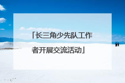 长三角少先队工作者开展交流活动