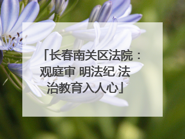 长春南关区法院：观庭审 明法纪 法治教育入人心