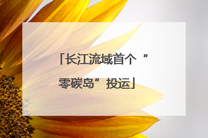长江流域首个“零碳岛”投运