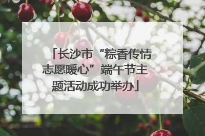 长沙市“粽香传情志愿暖心”端午节主题活动成功举办
