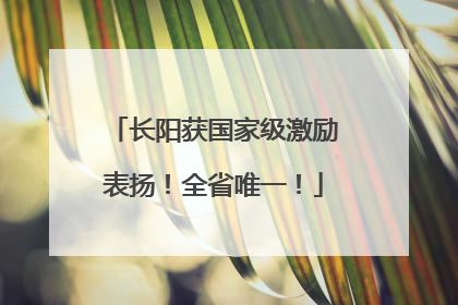 长阳获国家级激励表扬！全省唯一！