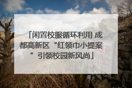 闲置校服循环利用 成都高新区“红领巾小提案”引领校园新风尚