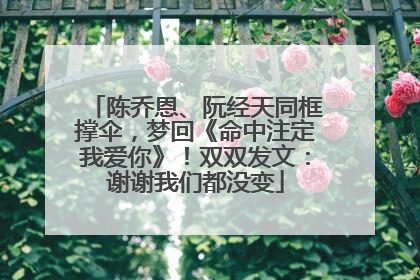 陈乔恩、阮经天同框撑伞，梦回《命中注定我爱你》！双双发文：谢谢我们都没变