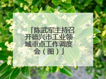 陈武军主持召开德兴市工业领域重点工作调度会（图）