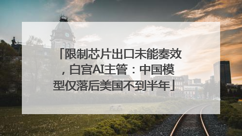 限制芯片出口未能奏效，白宫AI主管：中国模型仅落后美国不到半年