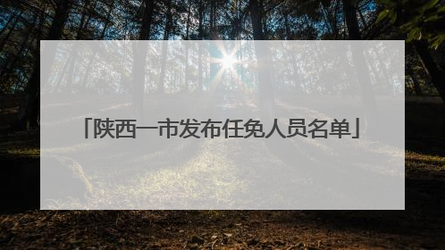 陕西一市发布任免人员名单