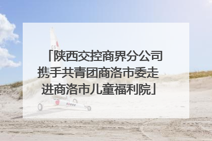 陕西交控商界分公司携手共青团商洛市委走进商洛市儿童福利院