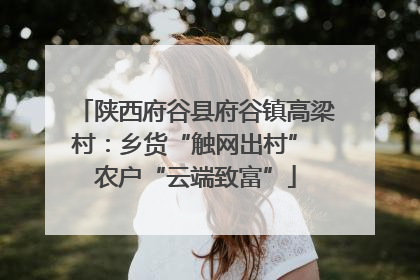 陕西府谷县府谷镇高梁村：乡货“触网出村” 农户“云端致富”