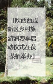 陕西西咸新区乡村旅游消费季启动仪式在茯茶镇举办