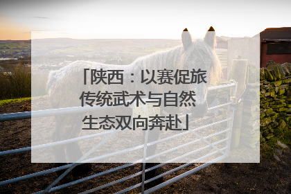 陕西：以赛促旅 传统武术与自然生态双向奔赴