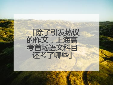 除了引发热议的作文，上海高考首场语文科目还考了哪些