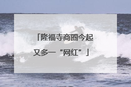 隆福寺商圈今起又多一“网红”