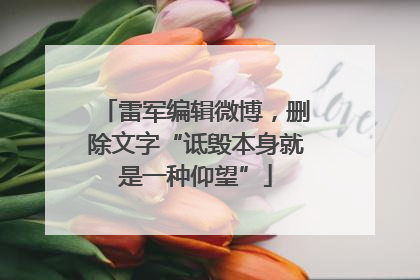 雷军编辑微博，删除文字“诋毁本身就是一种仰望”