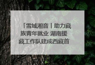 雪域湘音丨助力藏族青年就业 湖南援藏工作队建成西藏首个清洁能源装备园