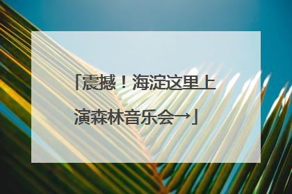 震撼！海淀这里上演森林音乐会→