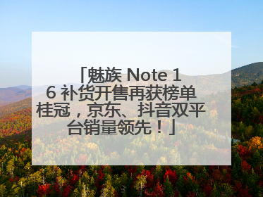 魅族 Note 16 补货开售再获榜单桂冠，京东、抖音双平台销量领先！