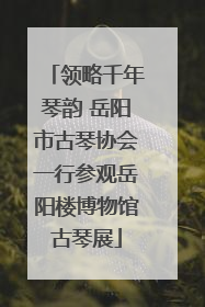 领略千年琴韵 岳阳市古琴协会一行参观岳阳楼博物馆古琴展