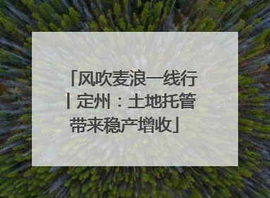 风吹麦浪一线行丨定州：土地托管带来稳产增收