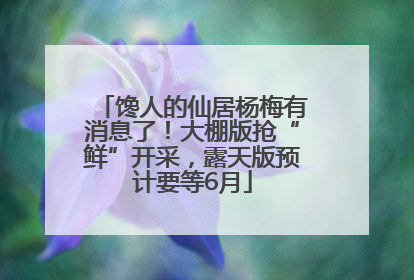 馋人的仙居杨梅有消息了！大棚版抢“鲜”开采，露天版预计要等6月