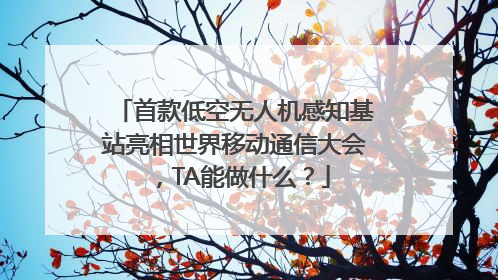 首款低空无人机感知基站亮相世界移动通信大会，TA能做什么？