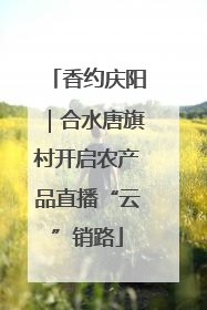 香约庆阳｜合水唐旗村开启农产品直播“云”销路