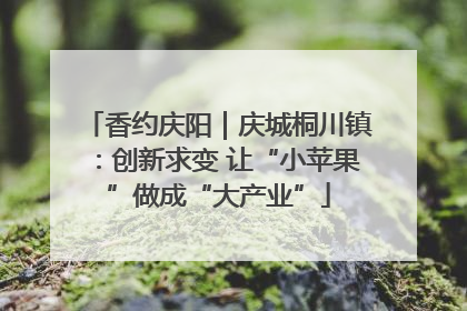 香约庆阳｜庆城桐川镇：创新求变 让“小苹果”做成“大产业”