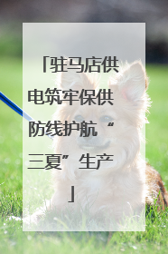 驻马店供电筑牢保供防线护航“三夏”生产