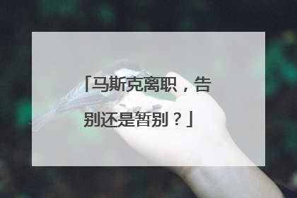 马斯克离职，告别还是暂别？