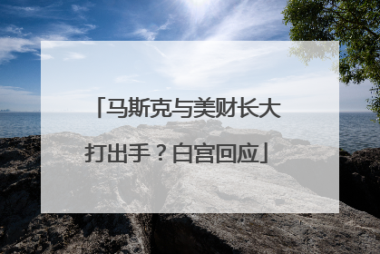 马斯克与美财长大打出手？白宫回应