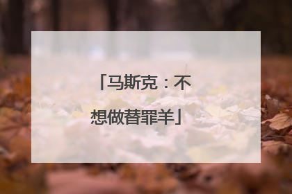 马斯克：不想做替罪羊