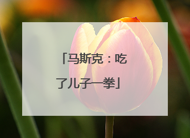 马斯克：吃了儿子一拳