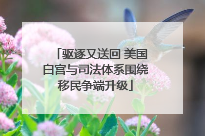 驱逐又送回 美国白宫与司法体系围绕移民争端升级
