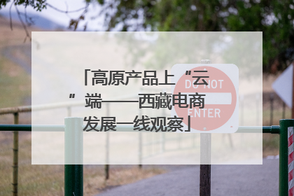 高原产品上“云”端——西藏电商发展一线观察
