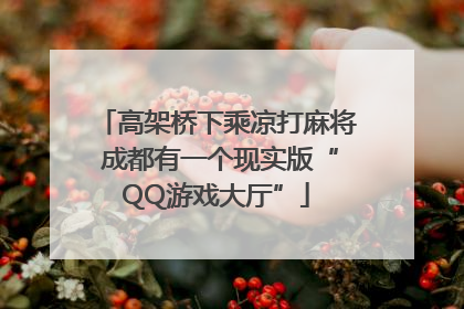 高架桥下乘凉打麻将 成都有一个现实版“QQ游戏大厅”