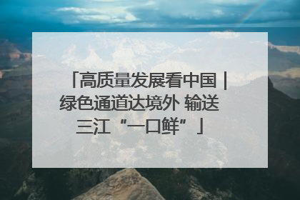 高质量发展看中国｜绿色通道达境外 输送三江“一口鲜”