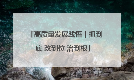 高质量发展践悟｜抓到底 改到位 治到根
