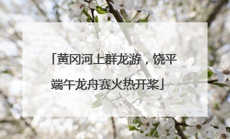 黄冈河上群龙游，饶平端午龙舟赛火热开桨